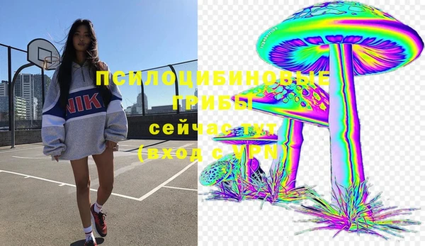 дурь Костерёво