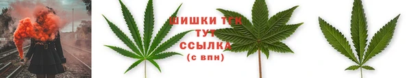 дурь Костерёво