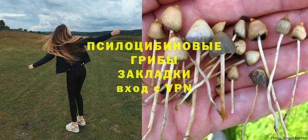 каннабис Коряжма
