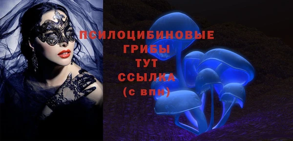 дурь Костерёво