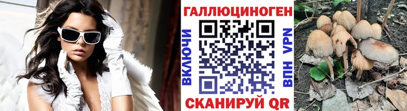 купить закладку  Новотитаровская  hydra tor  Псилоцибиновые грибы Magic Shrooms 