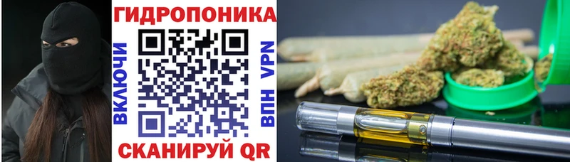 как найти закладки  Новотитаровская  mega сайт  Канабис план 